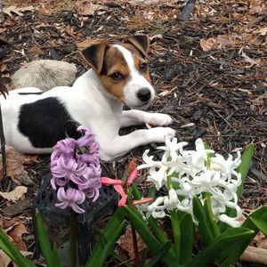 Meet your Posher, Denise